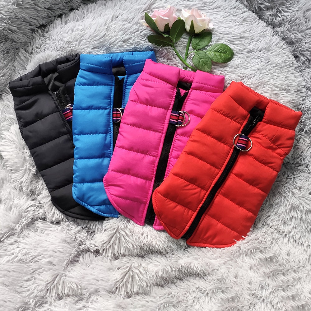 Dog Jacket Vest - AllShopCart